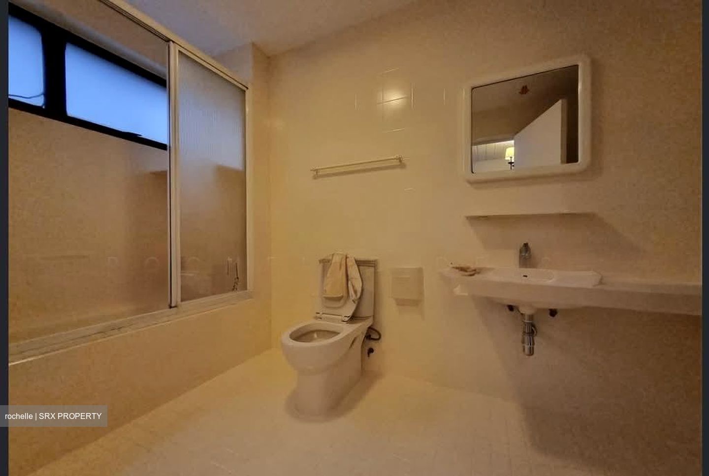 The Cairnhill (D9), Condominium #558345661